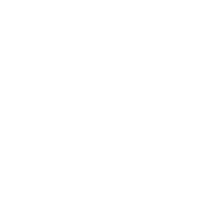 NZ-Icon
